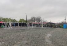 Edilitara: Târg de miei pe digul Jiului