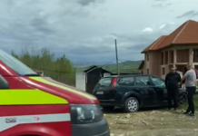 Șoferul care s-a izbit de un gard, la Tetila, a încercat să evite un câine