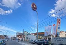 Stradă vopsită în alb, curățată de Edilitara