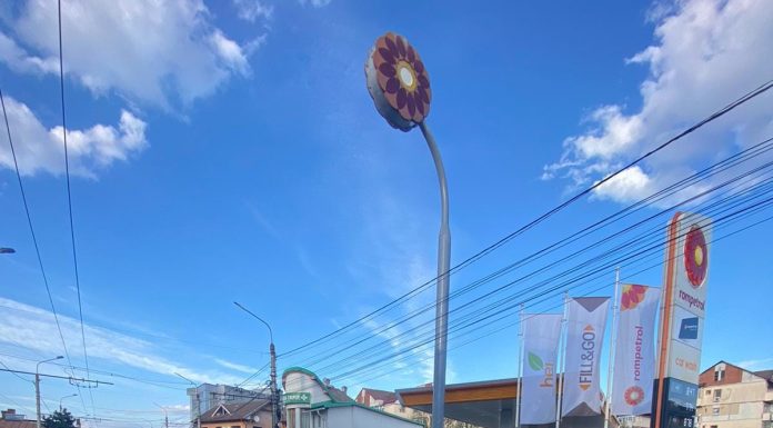 Stradă vopsită în alb, curățată de Edilitara