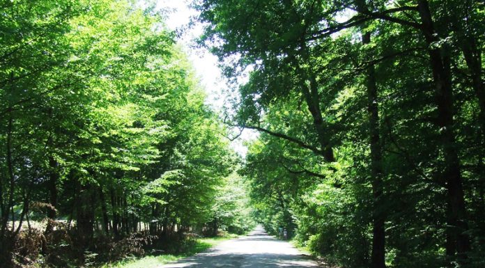 Călător în umbra Vâlcanului