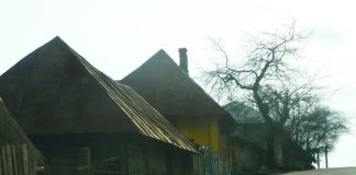 Călător pe „Drumul Neamţului”