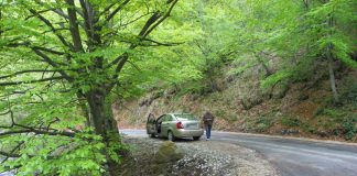 Călător spre Bordul Dobriţei