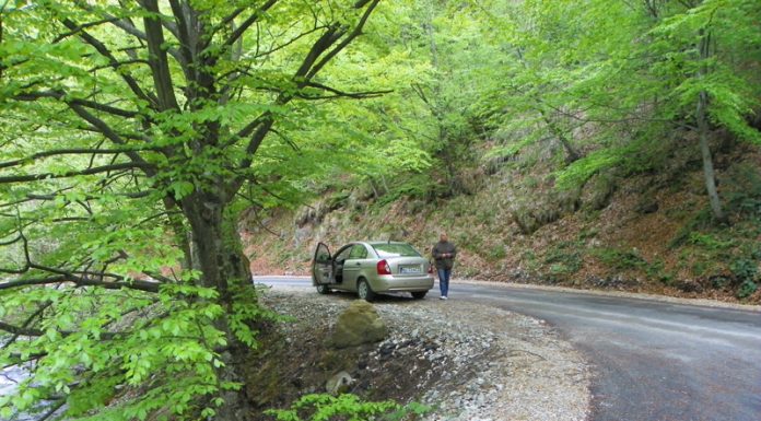 Călător spre Bordul Dobriţei