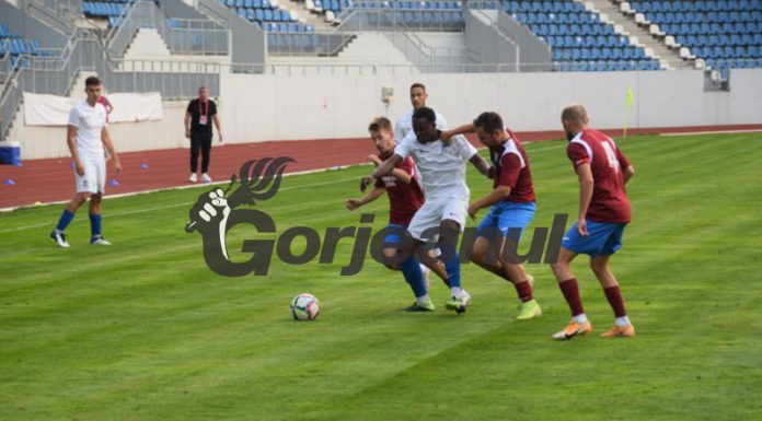 Pandurii joacă astăzi cu Deva