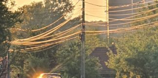 Inginer de la Cariera Tismana, surprins cărând lucernă cu Dusterul unității miniere