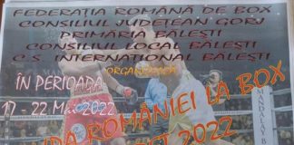 Începe Cupa României la Box