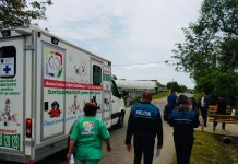 A început campania de sterilizare a câinilor și pisicilor. Amenzi de mii de lei!