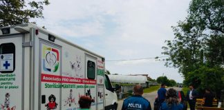 A început campania de sterilizare a câinilor și pisicilor. Amenzi de mii de lei!