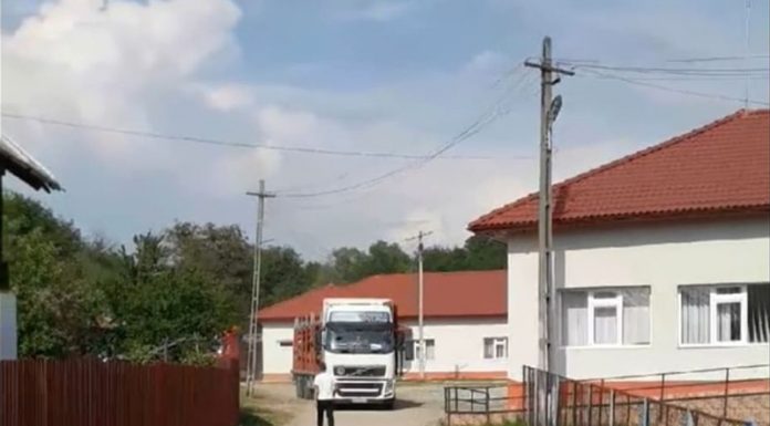 Curtea Școlii Gimnaziale Glogova, pistă pentru transportatorii de lemne! ISJ Gorj: ,,Un astfel de eveniment nu se va mai repeta!”