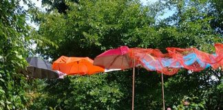 VIDEO: Preșcolarii de la Grădinița cu Program Prelungit Preajba au cei mai cei părinți!