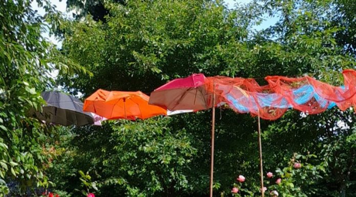 VIDEO: Preșcolarii de la Grădinița cu Program Prelungit Preajba au cei mai cei părinți!