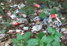 Atitudini – „Grătariada”