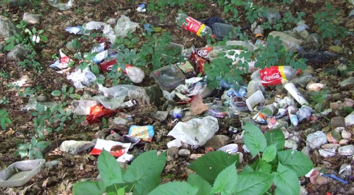 Atitudini – „Grătariada”