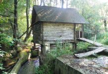 Călător în lumea „Apei Vii”