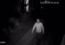 Detalii șocante în crima de la Licurici!