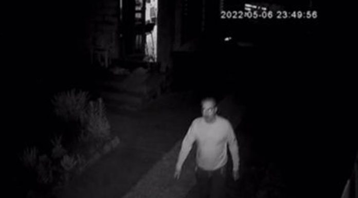 Detalii șocante în crima de la Licurici!