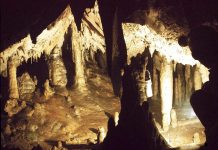 ÎN NORDUL GORJULUI, LA MUNTELE MARILOR VERTICALE