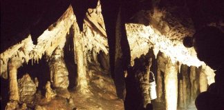 ÎN NORDUL GORJULUI, LA MUNTELE MARILOR VERTICALE