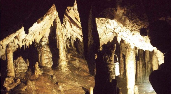 ÎN NORDUL GORJULUI, LA MUNTELE MARILOR VERTICALE