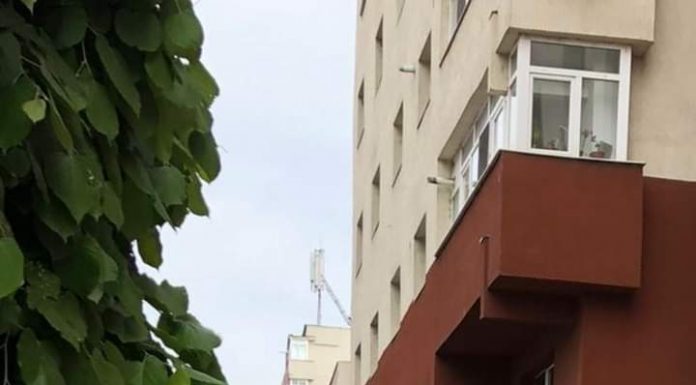 Cu calu’, la plimbare, prin centrul municipiului