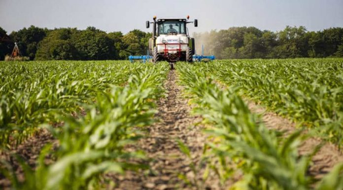 Agricultura pe înțelesul tuturor – Graficul lucrărilor agricole în luna mai