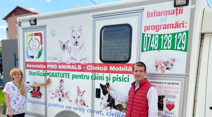 Gorj: Sterilizare gratuită a câinilor și pisicilor