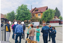 Dănești și Cărbunești: Campanie pentru protejarea animalelor