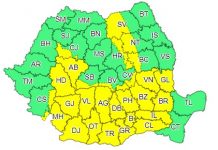 Cod galben de vreme rea