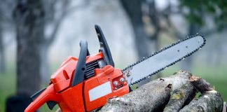 Face pușcărie pentru copacii tăiați din pădure