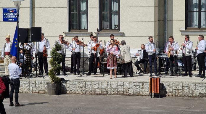 Doina Gorjului caută solistă