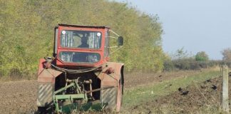 Două infracțiuni, în 6 luni! Ce pedeapsă a primit un fermier din Baia de Fier