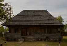 Toma Cuzin aduce „Film în sat” la Peștișani