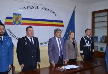 Greblă, învestit în funcție