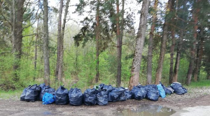 „Curățăm România!”, până la finalul lunii mai. Urmează amenzi!