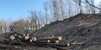 Gatere din Gorj și Caraș -Severin, amendate cu 140.000 de lei