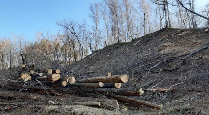 Gatere din Gorj și Caraș -Severin, amendate cu 140.000 de lei