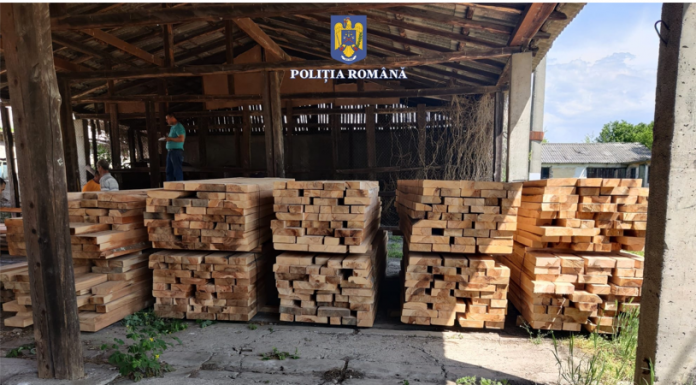 Controale la depozitele de material lemnos din Schela și Baia de Fier