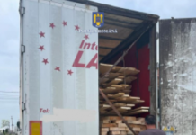 Tg. Cărbunești: Prinși cu un transport de lemne fără documente legale