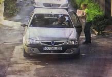 Bărbat din Târgu Jiu, surprins când abandonează pui de pisică neînțărcați!