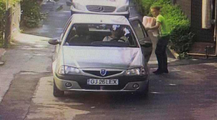 Bărbat din Târgu Jiu, surprins când abandonează pui de pisică neînțărcați!