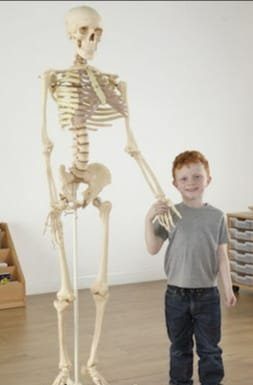 Tulburări de creștere la copii