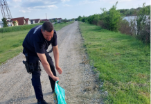 Atenție la șerpi! În Motru și Târgu Jiu au fost gasiți și în mașini