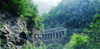 Pe unda bătrânului Rhabon