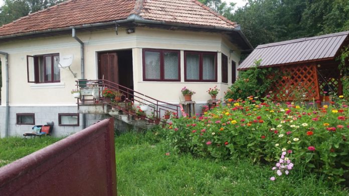 286672563_539958131012144_1086583829547387859_n