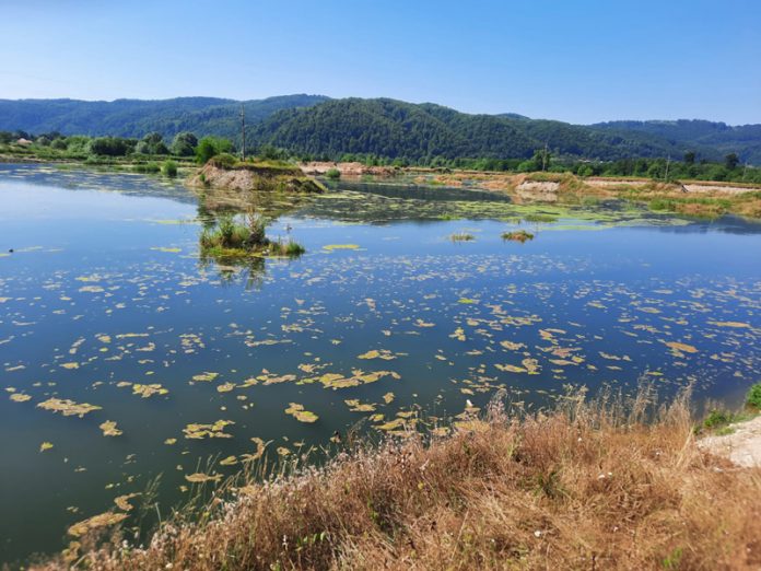 289385572_973978389939979_2470331197606727855_n