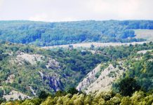 Sanctuare ale naturii – Locuri de lângă noi