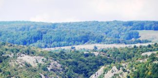 Sanctuare ale naturii – Locuri de lângă noi