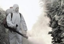 Dezinsecție astăzi la sol, în Târgu Jiu