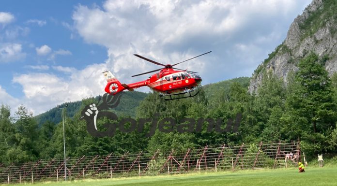 Elicoptere pentru Salvamont! Antrenamente lângă Peștera Muierilor!